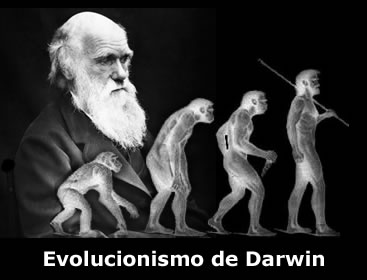 [Evolucionismo.jpg]