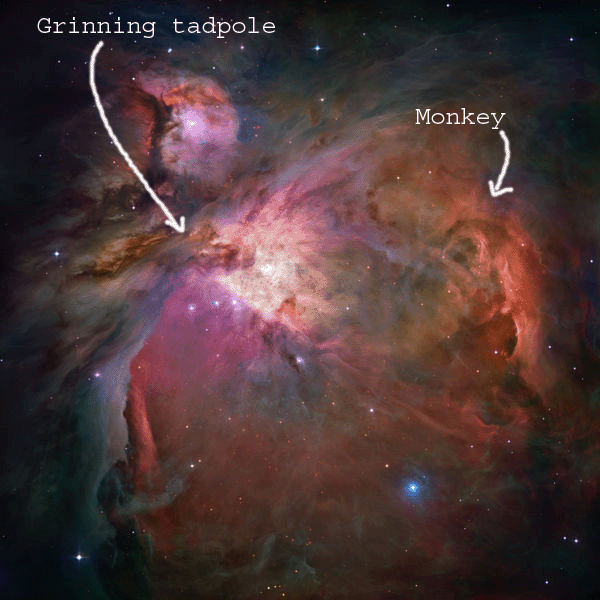 [Orion+Nebula+faces.gif]
