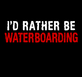[waterboard.gif]