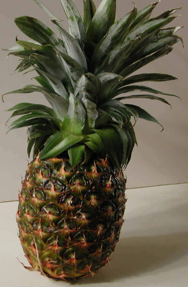 [i-pineapple.jpg]