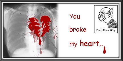 [Broken+heart+pics.jpg]