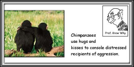 [Chimpanzees+hug.jpg]