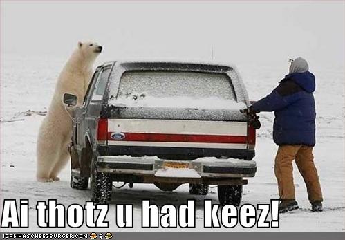 [funny-pictures-polar-bear-snow-keys.jpg]
