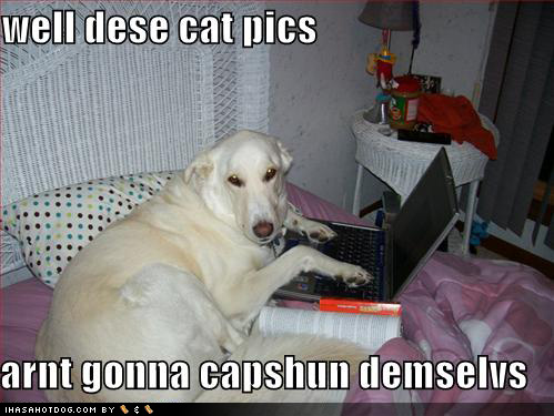 [loldog-funny-dog-pictures-well-dese-cat-pics.jpg]