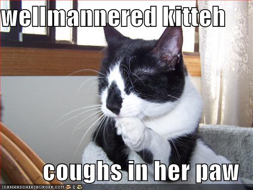 [funny-pictures-well-mannered-cat.jpg]