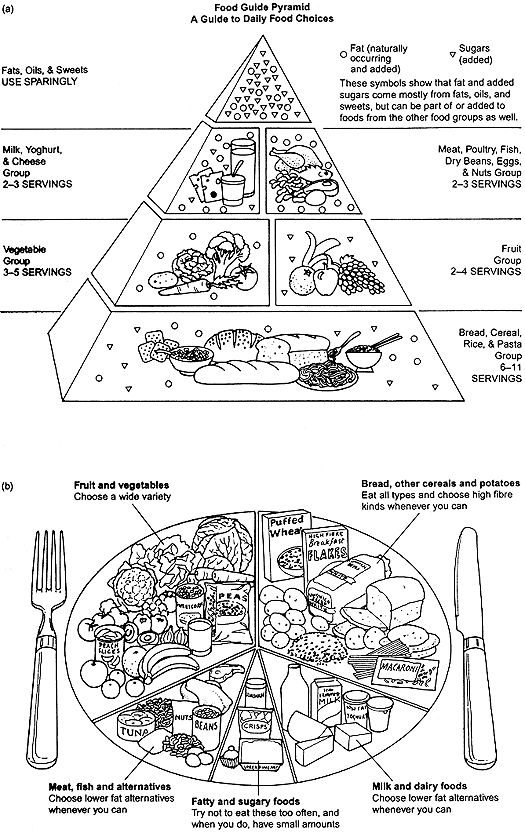 [0198631472.food-guide-pyramid.1.jpg]