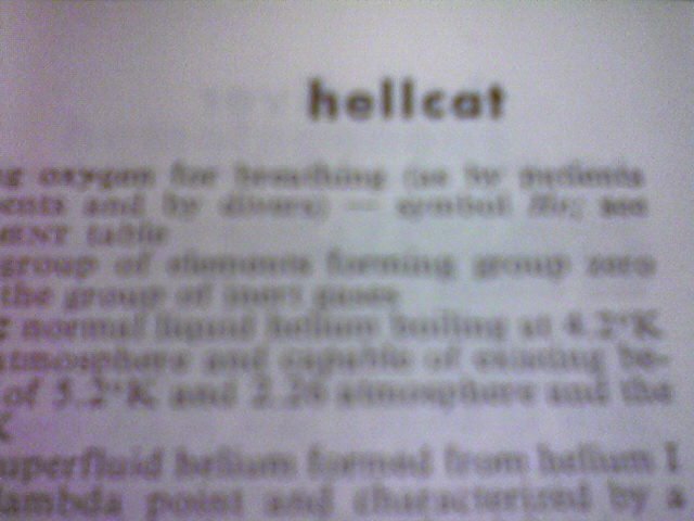 [hellcat.bmp]