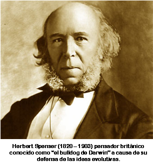 [Herbert+Spencer.png]