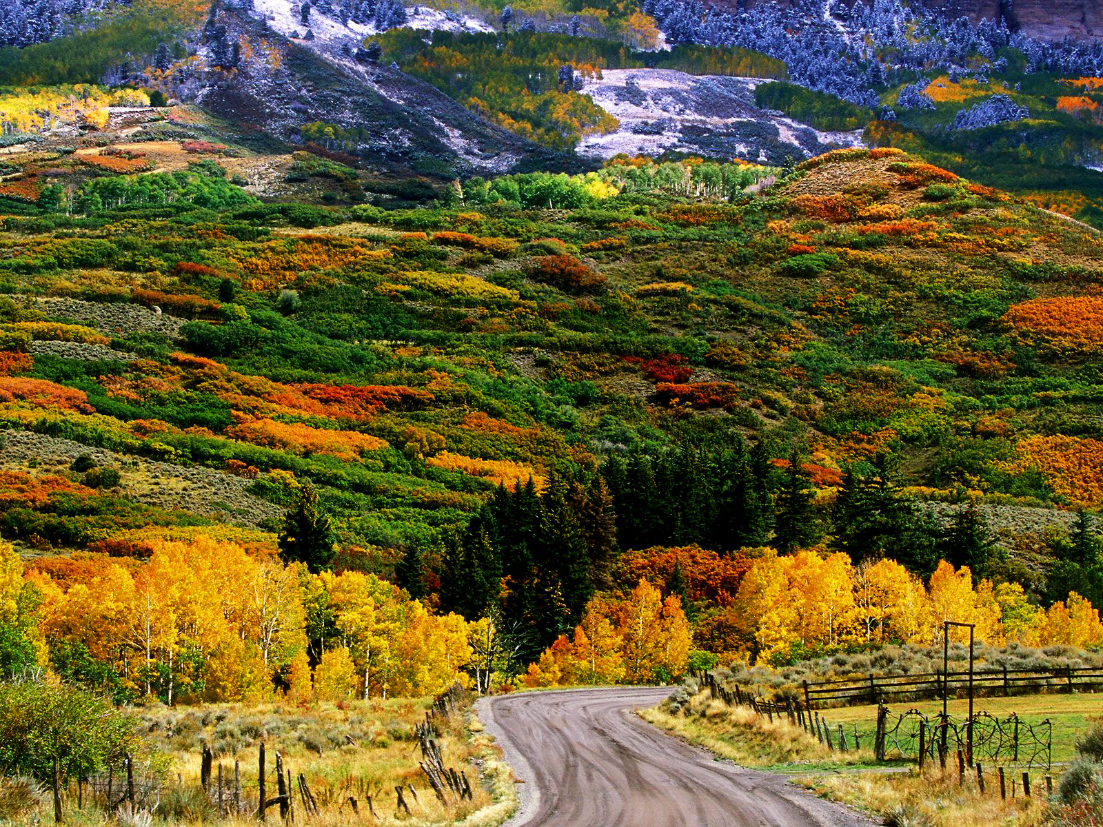 [Colorado+Autumn.jpg]