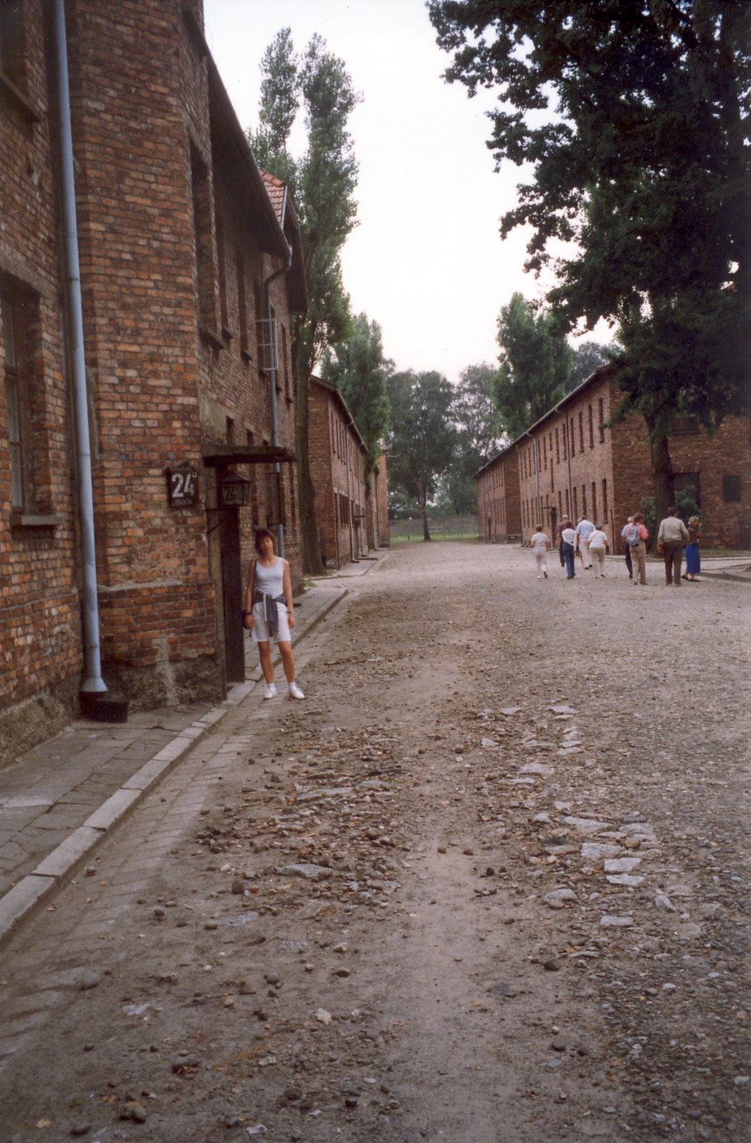 [Anna+en+Auschwitz.jpg]