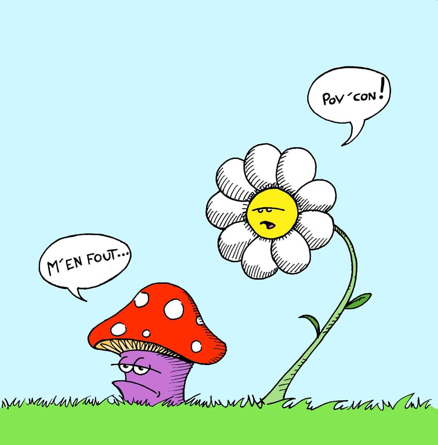 [champignon+et+fleur.jpg]