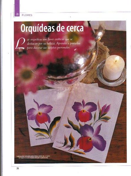 [orquideas1.jpg]
