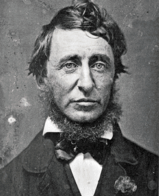 [Thoreau.large[1].gif]