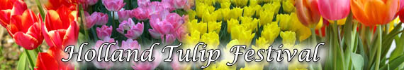 [tulip_banner.jpg]