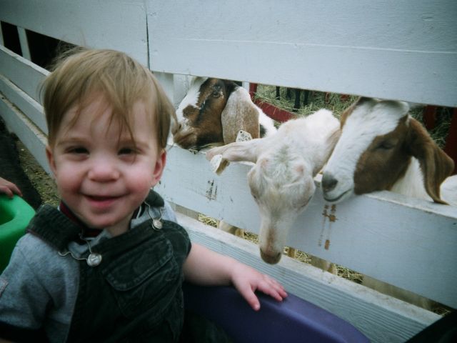 [Ryan+&+Goats.jpg]