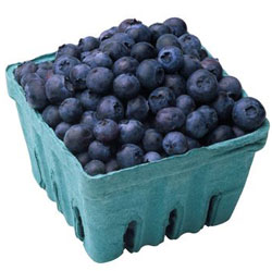 [blueberries-1_textmedium.jpg]