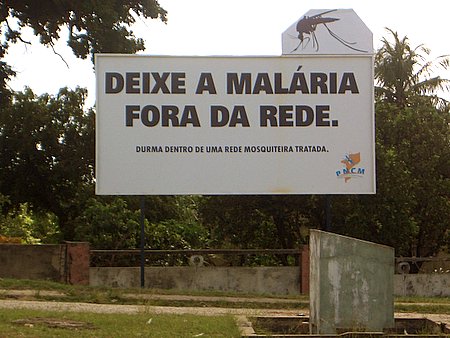[Cartaz+Contra+a+Malária.jpg]