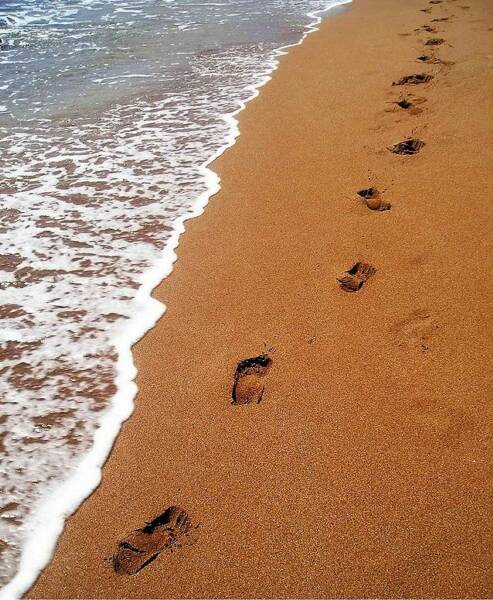 [footprints_in_the_sand_op_493x600.jpg]