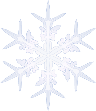 [snowflake.png]