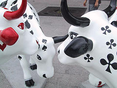 [cows.jpg]