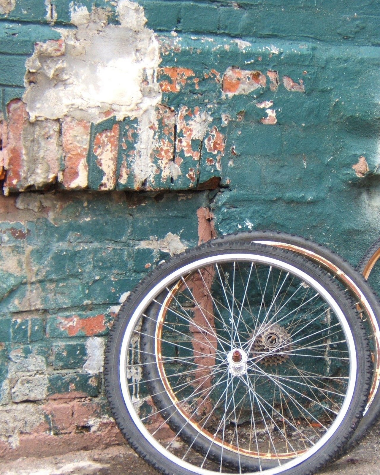 [Wall+and+Bike+Tires.jpg]