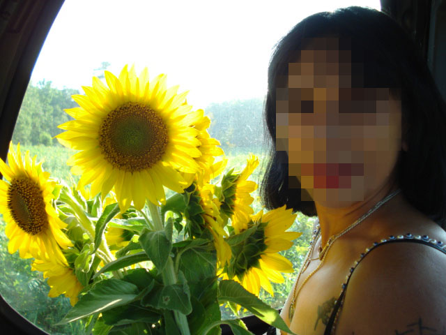 [sunflower+(2).jpg]