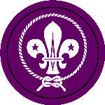 [scouts_badge.gif]