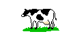 [cow_mo01.gif]
