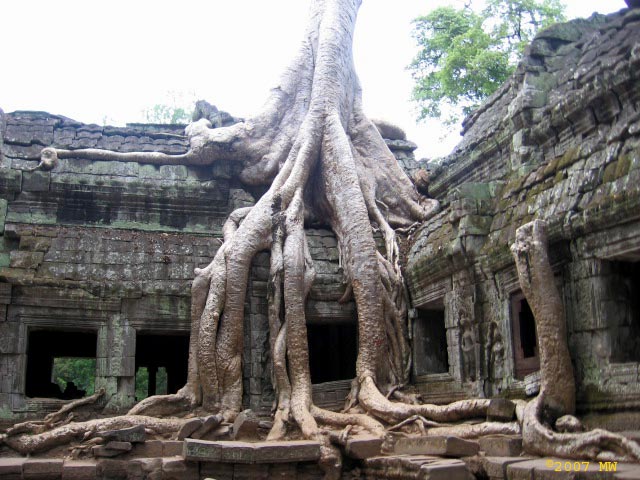 [Angkor-Wat-Ta-Prohm.jpg]
