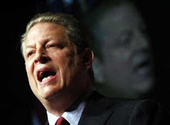Gore propone que EE.UU prescinda del petróleo en una década.