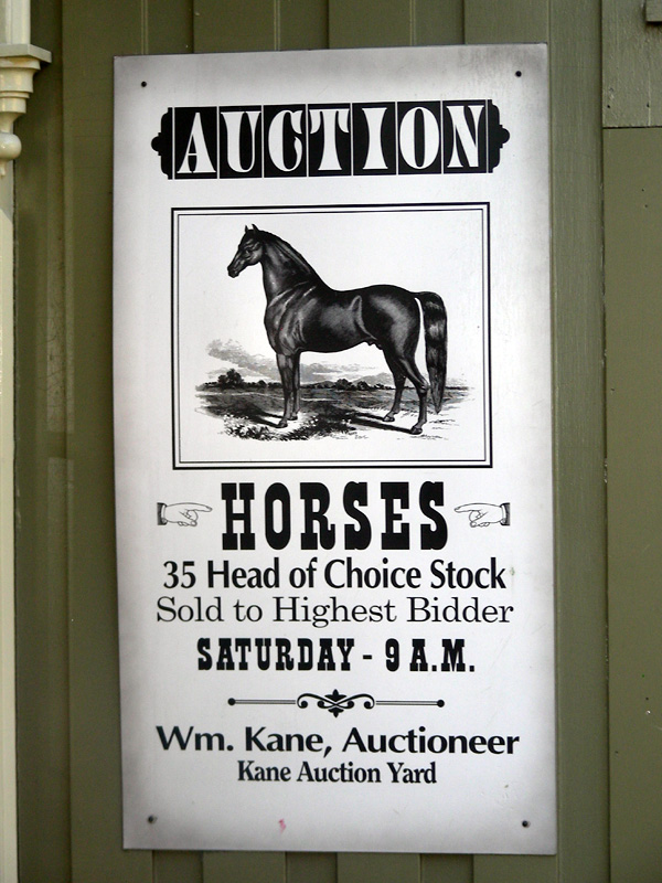 [horse-auction.JPG]