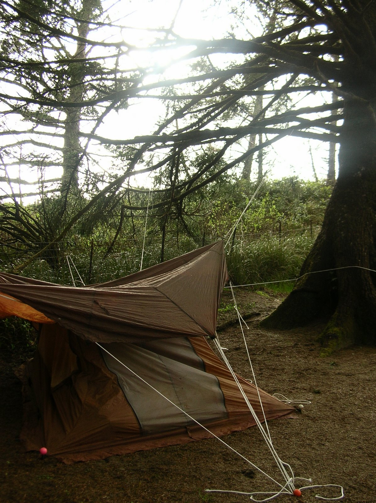 [Mar26+Camping+033.jpg]