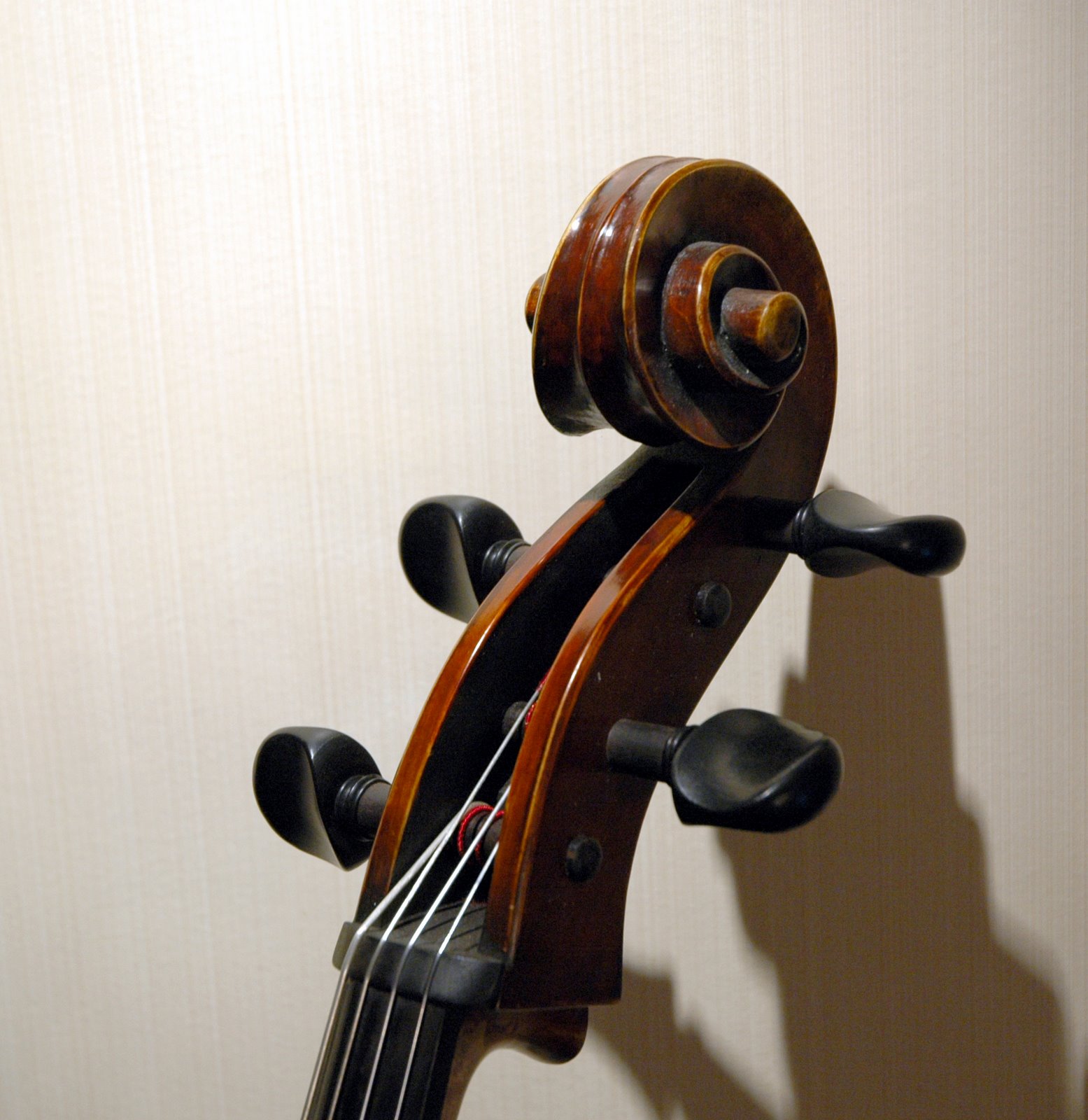 [Cello+pins.jpg]