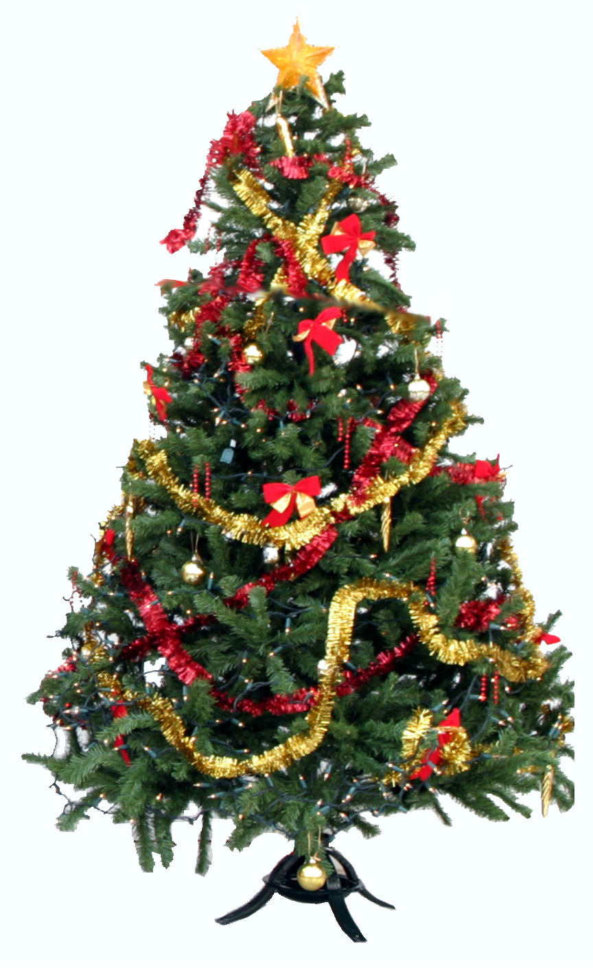 [christmas+tree+1.jpg]