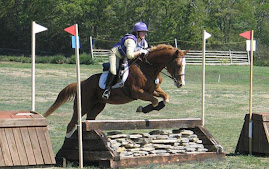 MTPC Horse Trials 2007