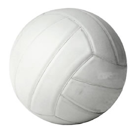 [volleyball.jpg]