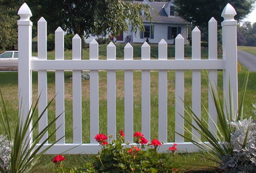 [fence+sitter.jpg]