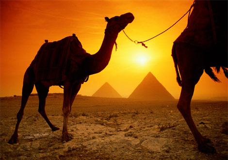[egypt_camel-sunset.jpg]