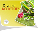 [Diverse+Biodiversity+of+Nepal.gif]