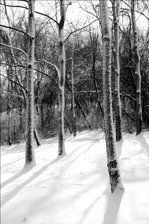 [winter-landscape-snow-3.jpg]