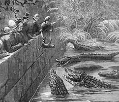 [Pakistan_Manghopir_croc-feeding-1878.jpg]