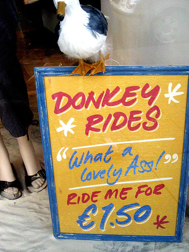 [donkey+ride.jpg]