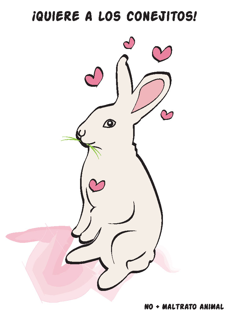 [ama+a+los+conejos.jpg]