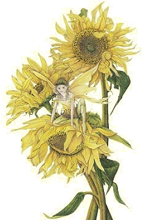 [sunflower1b.gif]