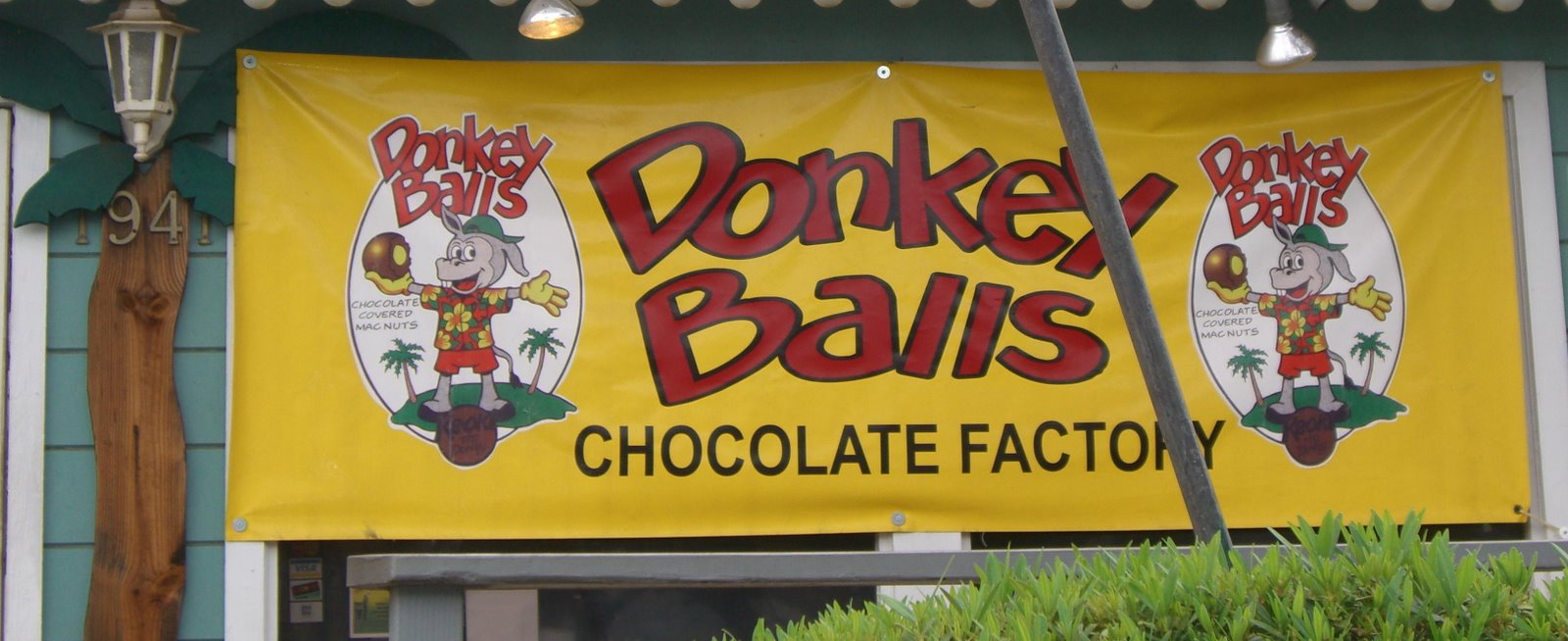 [Donkey+Balls+Chocolate+Factory.jpg]