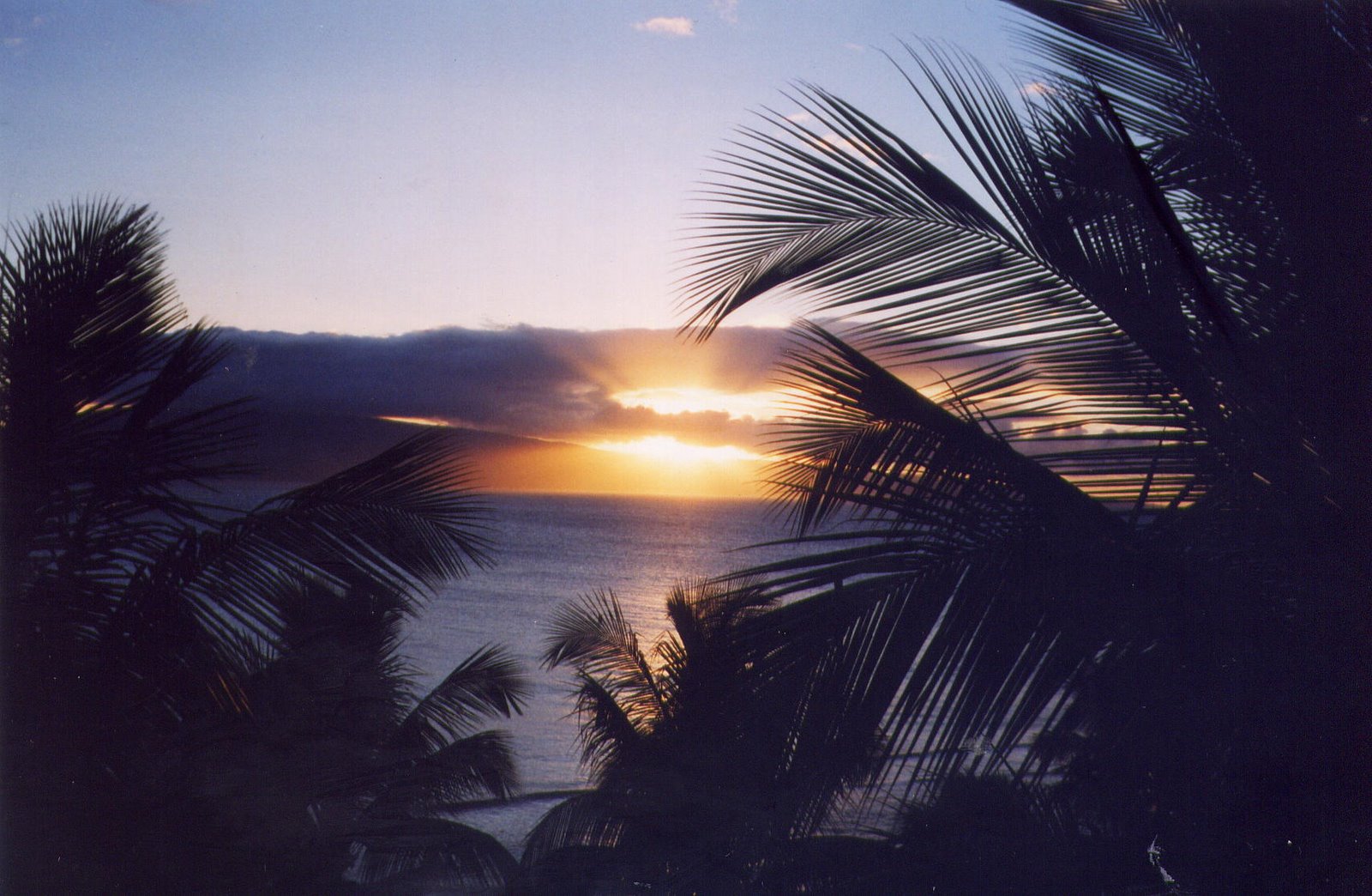 [Maui+Sunset.jpg]