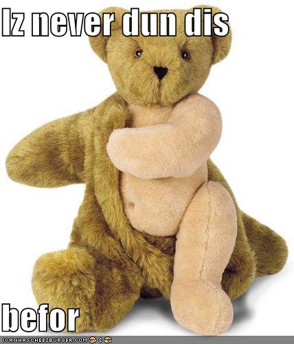 [funny-pictures-bear-undresses-first-time.jpg]