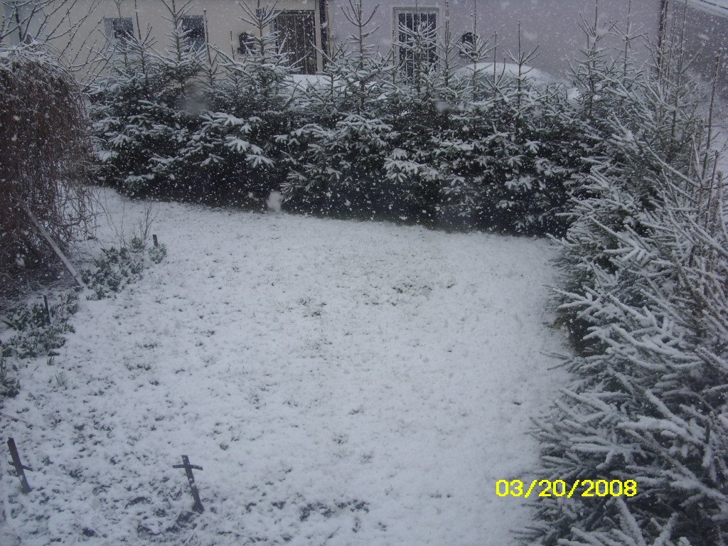 [mar2008-snow002.JPG]