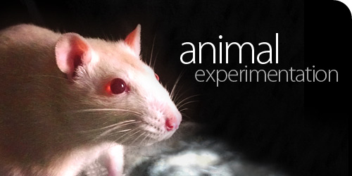 [500-animal_experimentation.jpg]