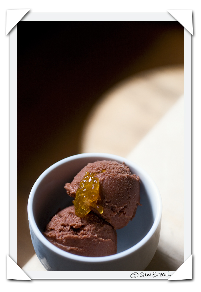 [Chocolate+Meyer+lemon+sorbet+by+Sam+Breach+1.jpg]
